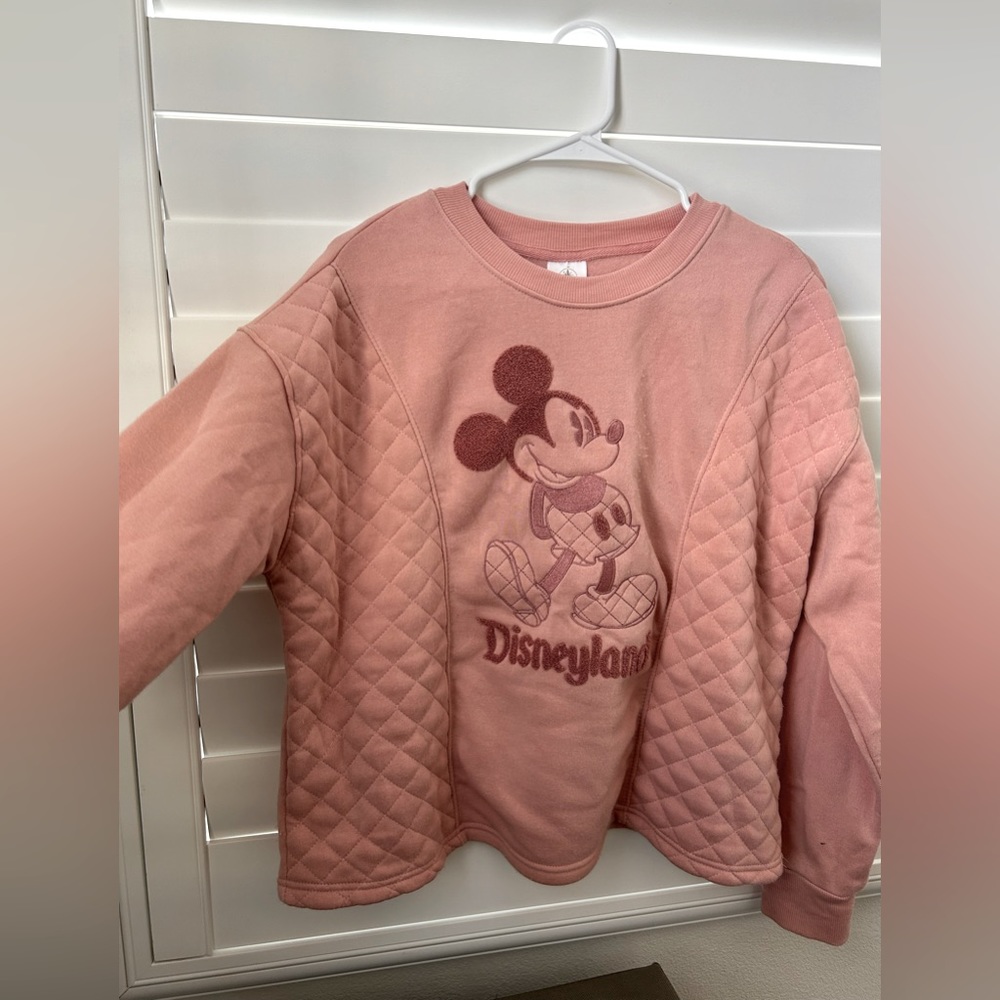 Pink Disneyland Boxy Crewneck